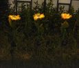 Solar Sunflower Garden Lights