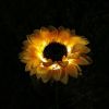 Solar Sunflower Garden Lights